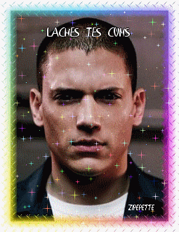 LACHER VOS COMS MERCI  A ZIPEPETTE POUR LA TOF