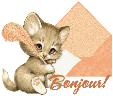 BONJOUR A TOUS SEUX QUI VIENNENT SUR MON BLOG