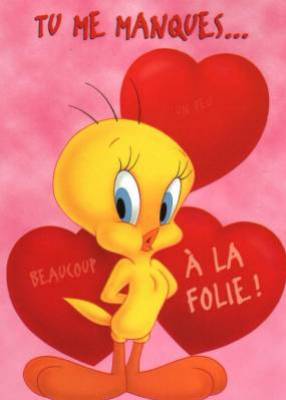 POUR MON CHAT ET MON HAMSTER QUI SONT PARTI LOIN