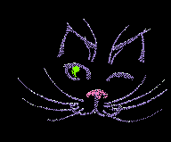 bienvenue sur mon blog